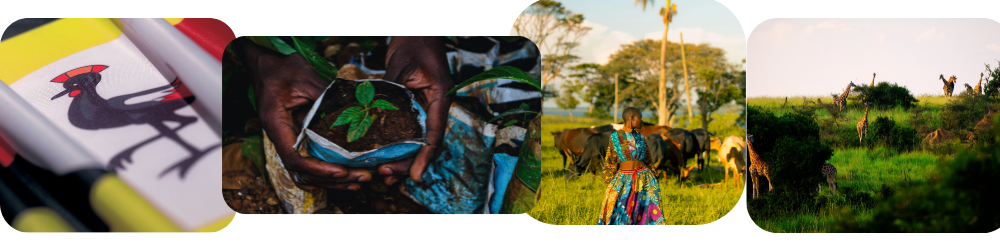 Uganda BLOG